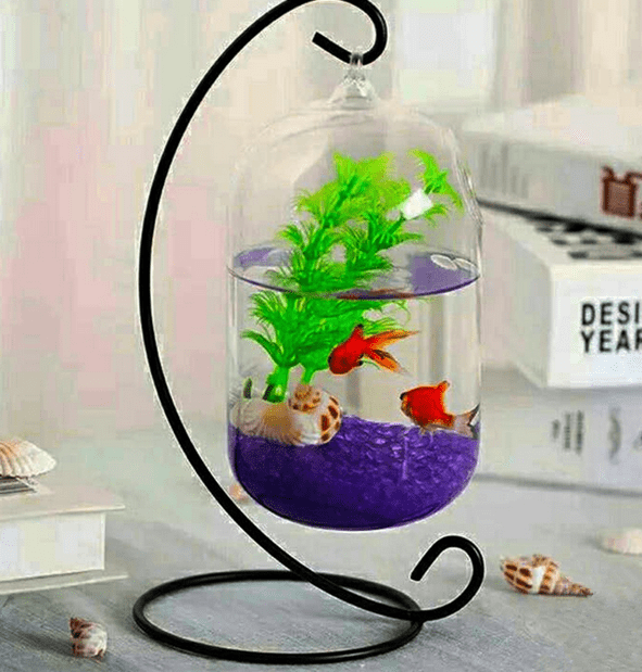 Aquarium Mini di Apartemen