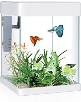 5 Jenis Filter Aquarium Mini yang Direkomendasikan 1